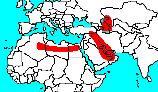 North Africa Oil
