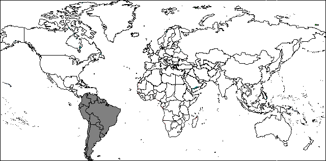 large blank map of south america. south america interactive map