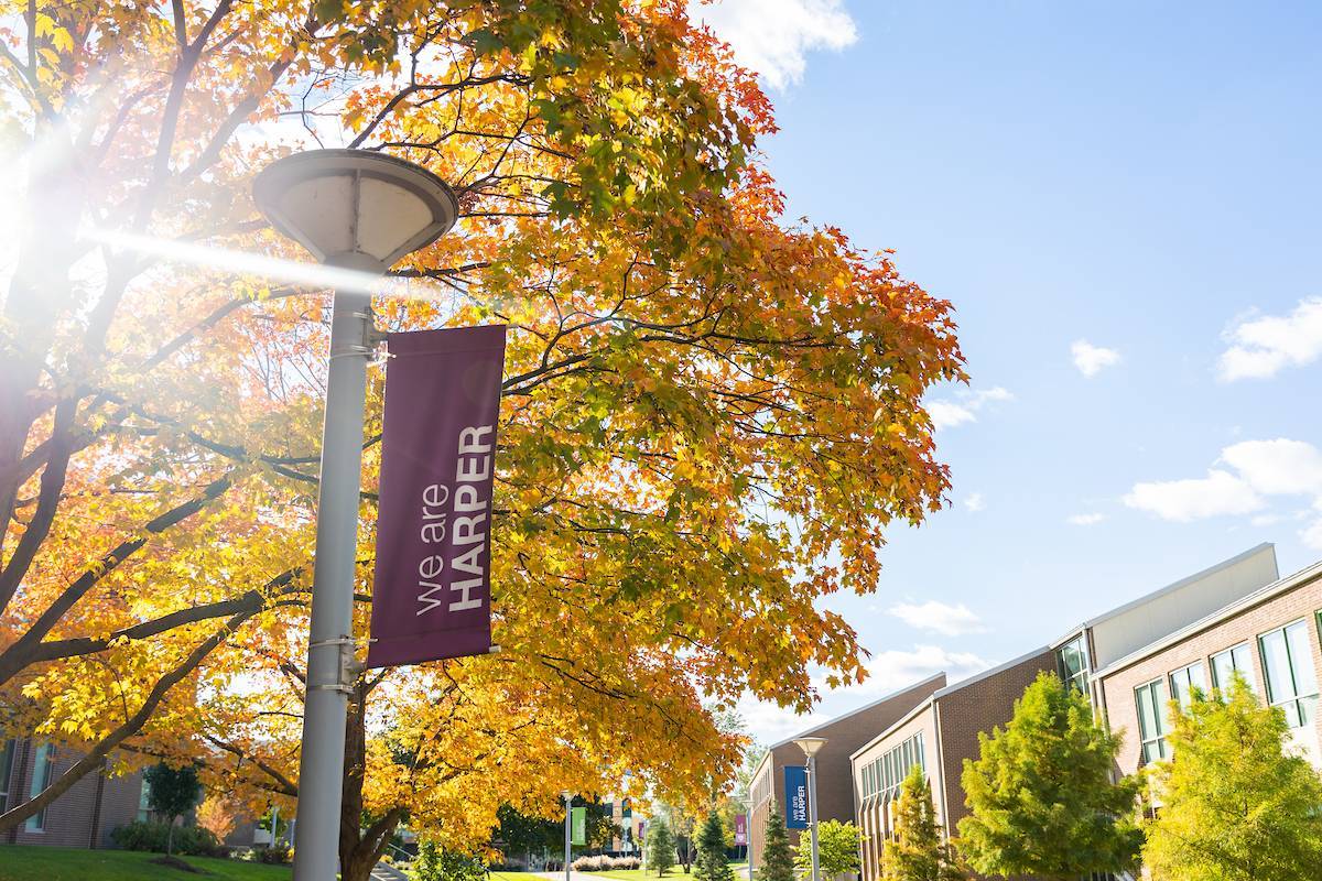 Outdoor campus photo with fall foliage
