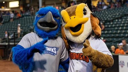 Harper Hawk Coop Schaumburg Boomers Back to School Night