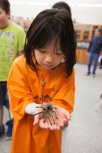 Expo participants holds an arachnoid