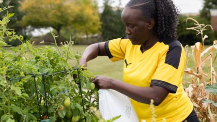 Edith Mugisha works in the Harper Grows Community Garden