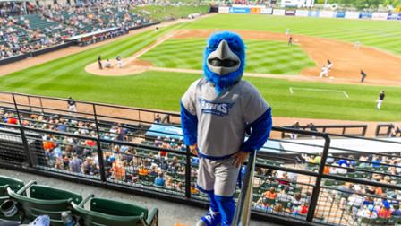 Harper Hawk Schaumburg Boomers Back to School