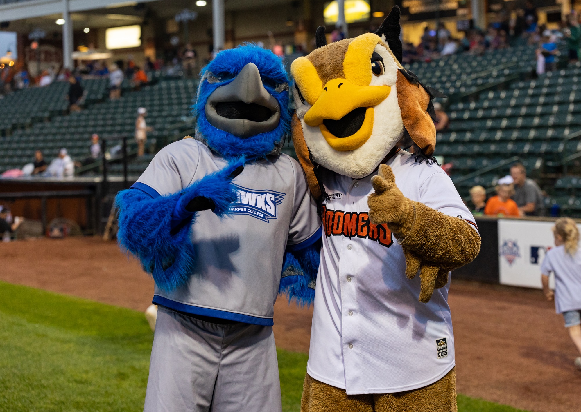 Rainey the Harper Hawk and Coop of the Schaumburg Boomers embrace on Wintrust Field