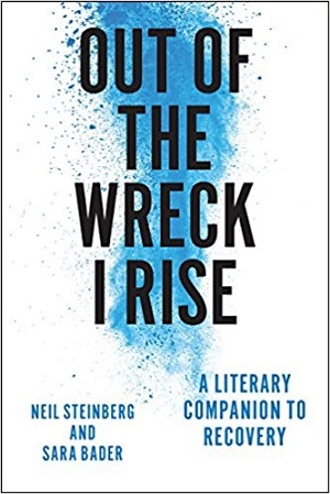 Book cover of Out of the Wreck I Rise