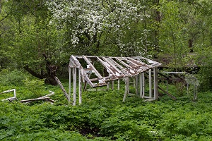 Soviet Greenhouse No. 1