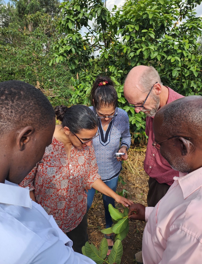 A group of Harper and other area instructors traveled to Africa for a summer field experience