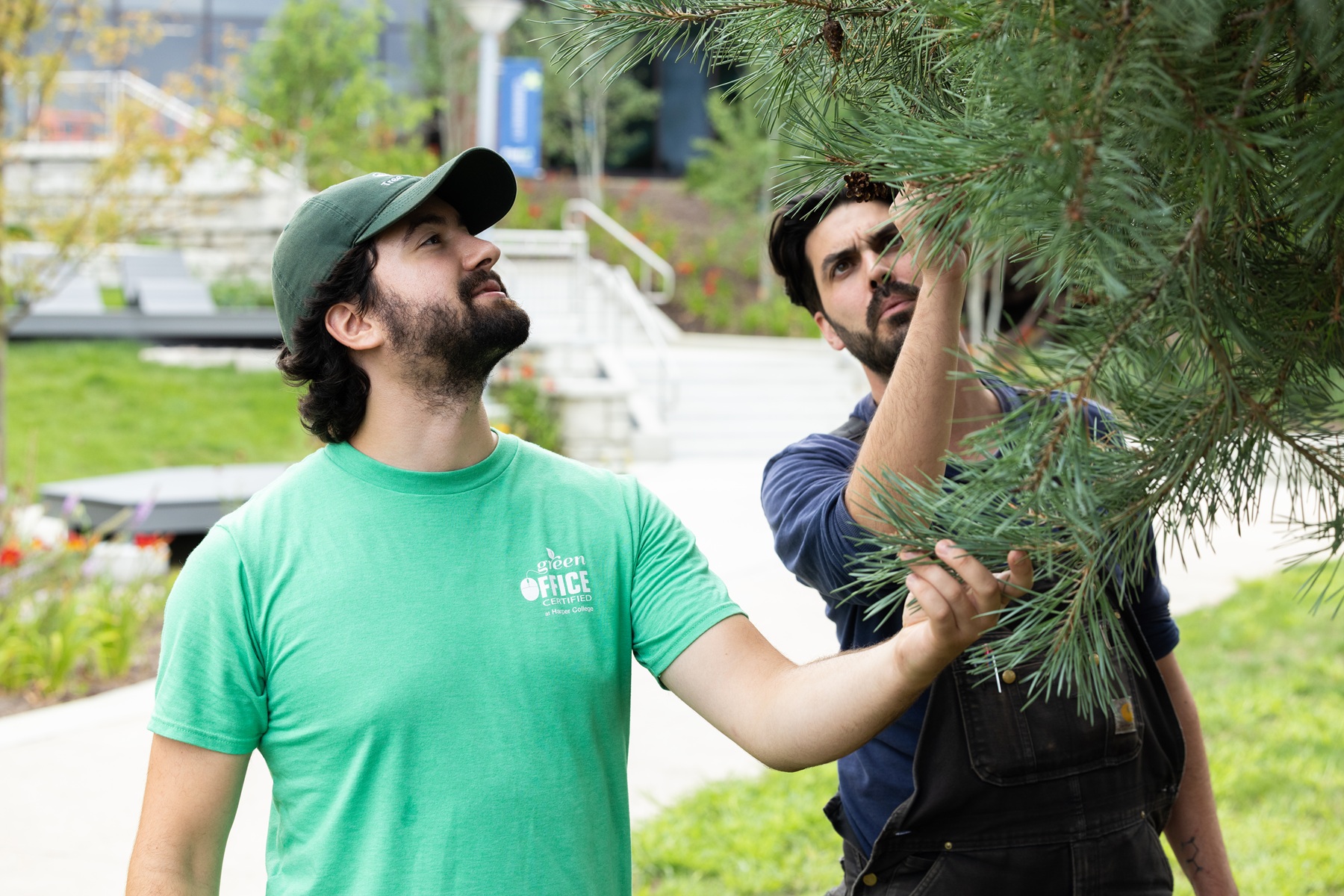 Jackson Zinck and Billy Maloney inspect a tree on Harper College's campus
