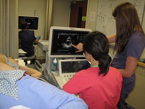 Students perform an ultrasound