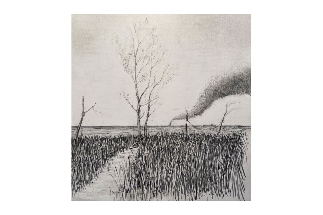 rough pencil drawing of a field with a tree
