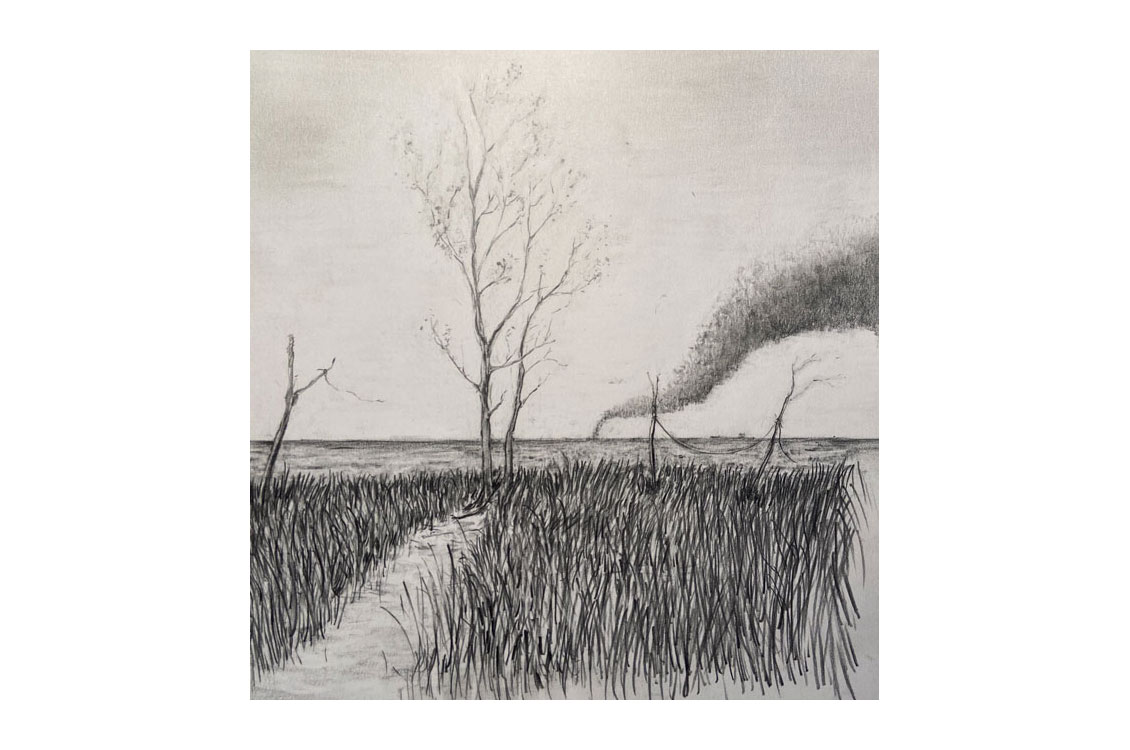 rough pencil drawing of a field with a tree