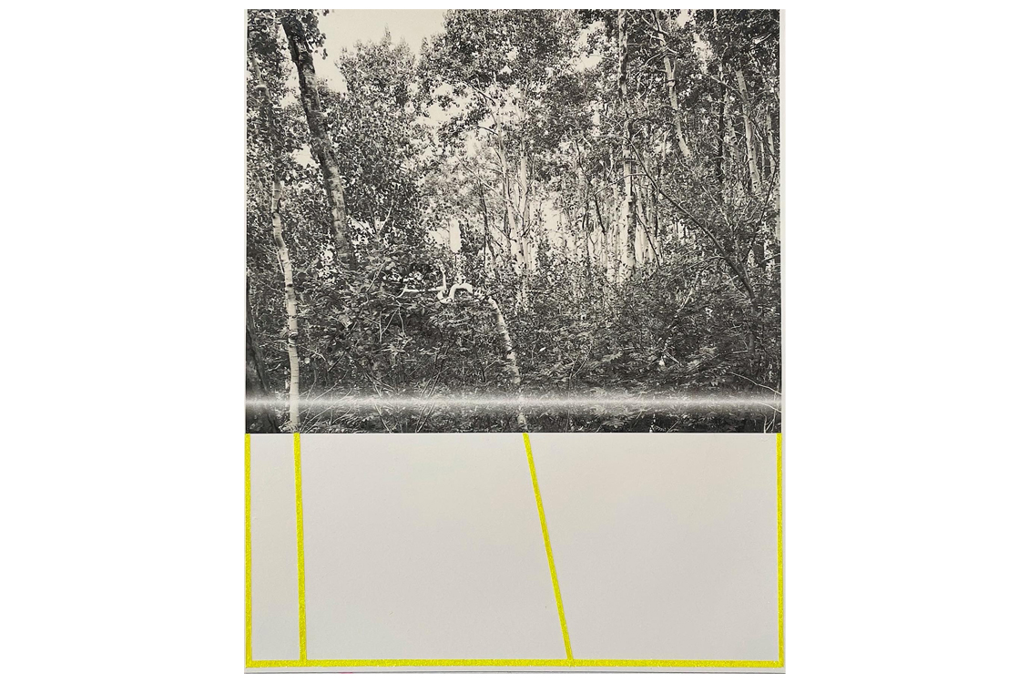 abstract art of a photograph of trees with yellow lines added