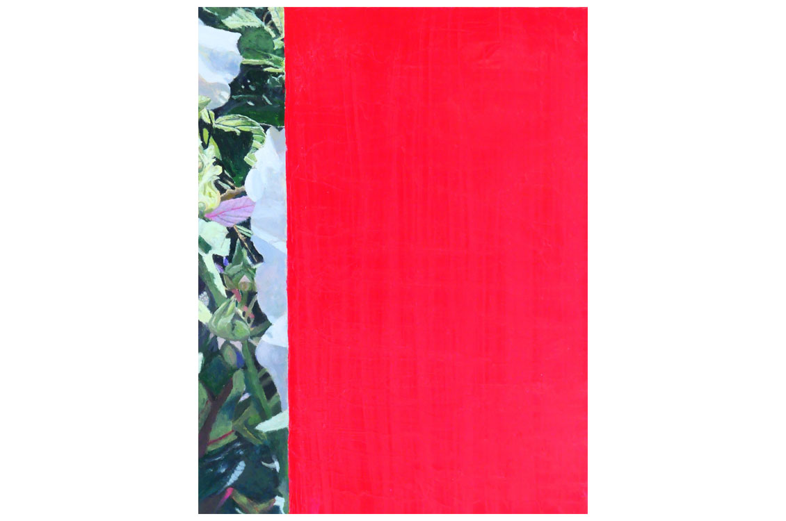 Image split in two: left side shows green leaves and white flowers; right side is solid bright red.