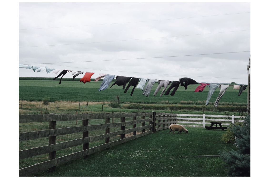 Clothes hang on a line above a grassy yard with a grazing sheep, set against a green field and cloudy sky.