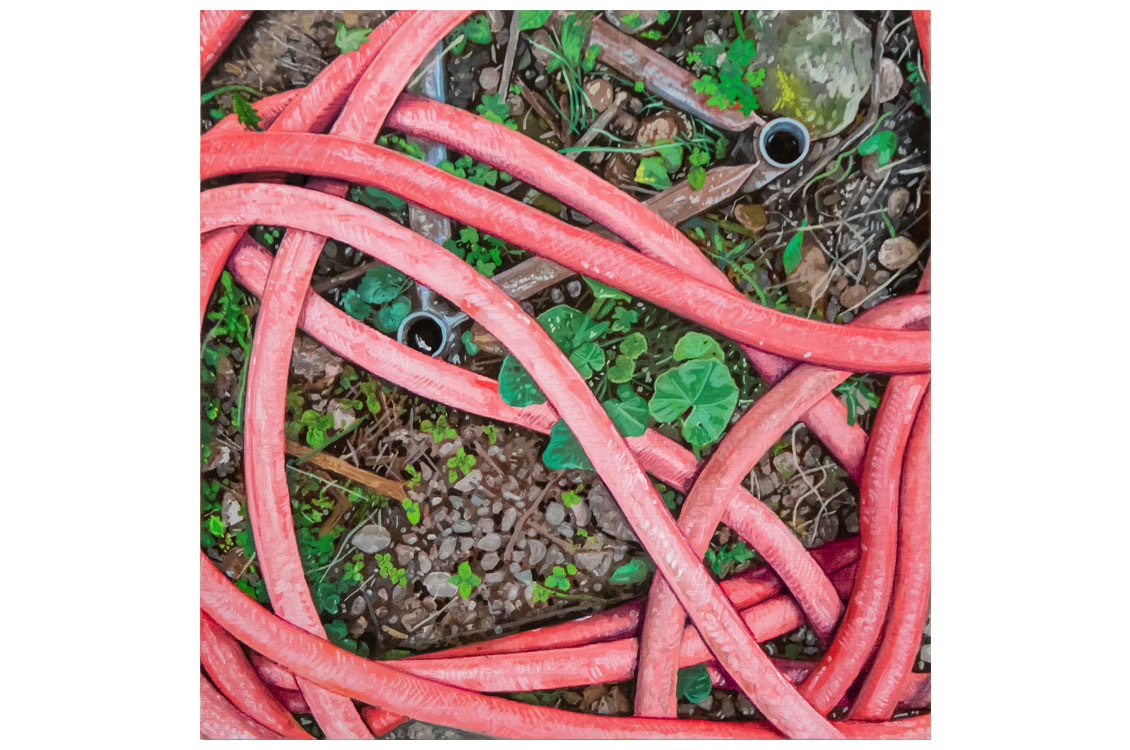 Painting of tangled pink hoses over gravel and green plants.