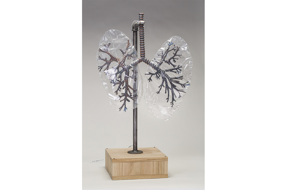 sculpture of human lungs made from metal and plastic