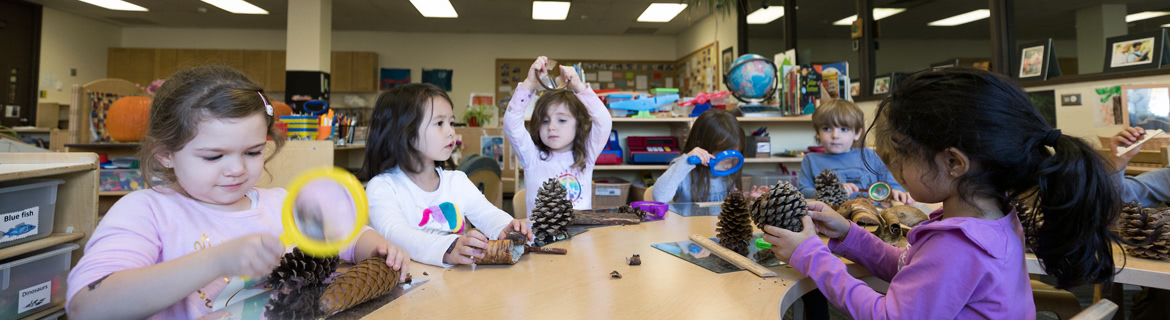Children in Harper College's Early Childhood Laboratory School inspecting pine cones with magnifying glasses in a group science activity.
