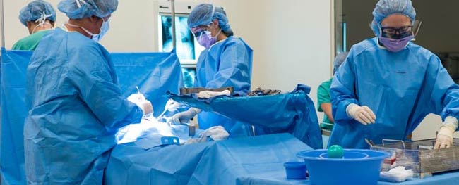 Surgical Technology Surgical Technology