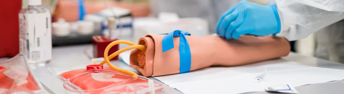 Hands operation on a phlebotomy model