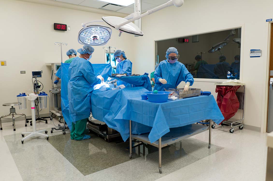 View of the operating room team