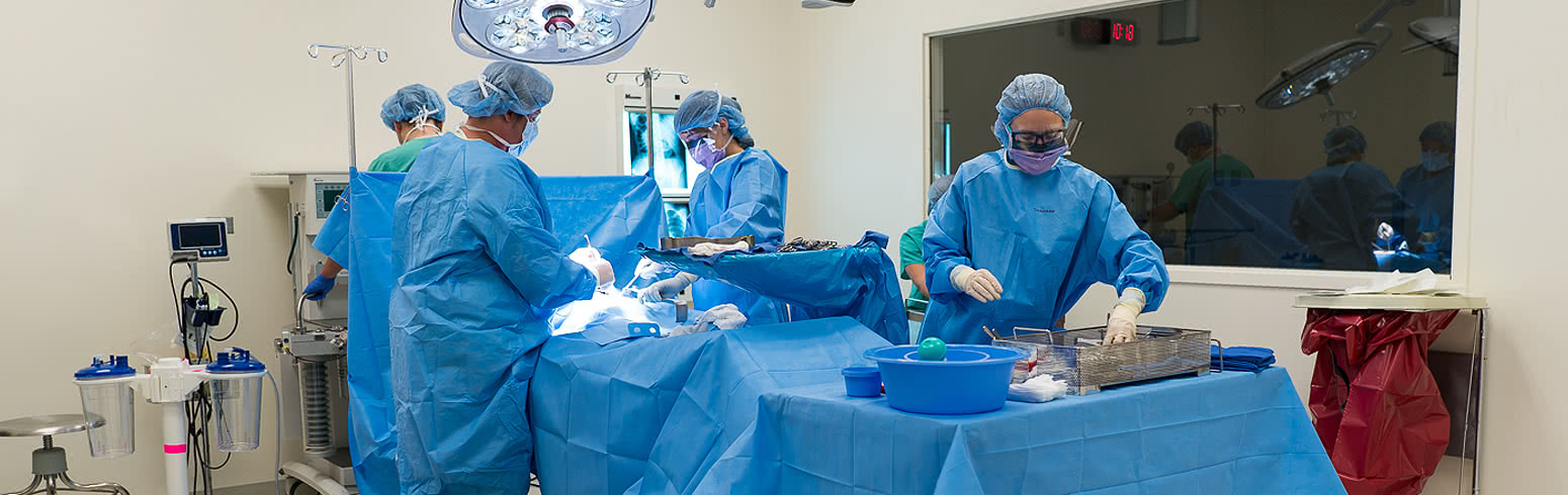 Surgical Tech students practicing a simulated surgery in the Derrick and Joni Hamilton Surgical Technology Suite on  the Harper College Campus in the suburbs of Chicago.