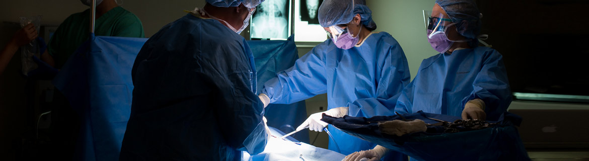 Surgeons performing surgery on an individual in the operation room 