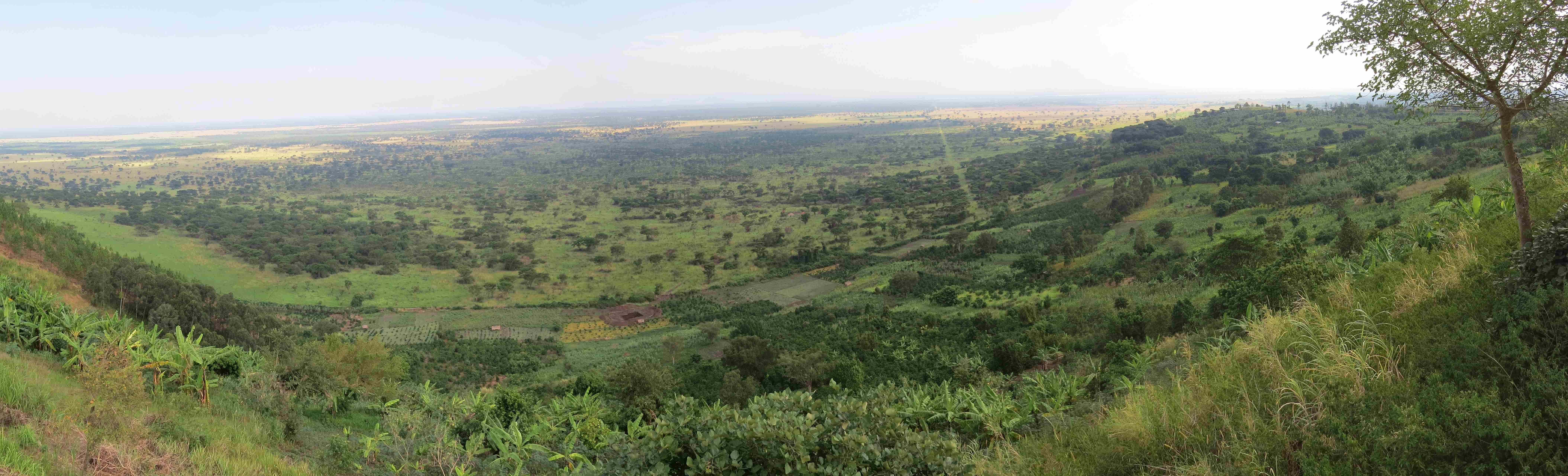 Huge, green, beautiful valley