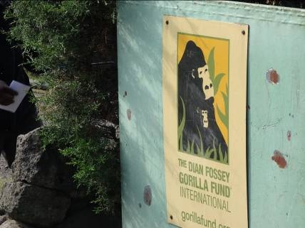 Logo with gorillas and sign reading "The Dian Fossey Gorilla Fund International"