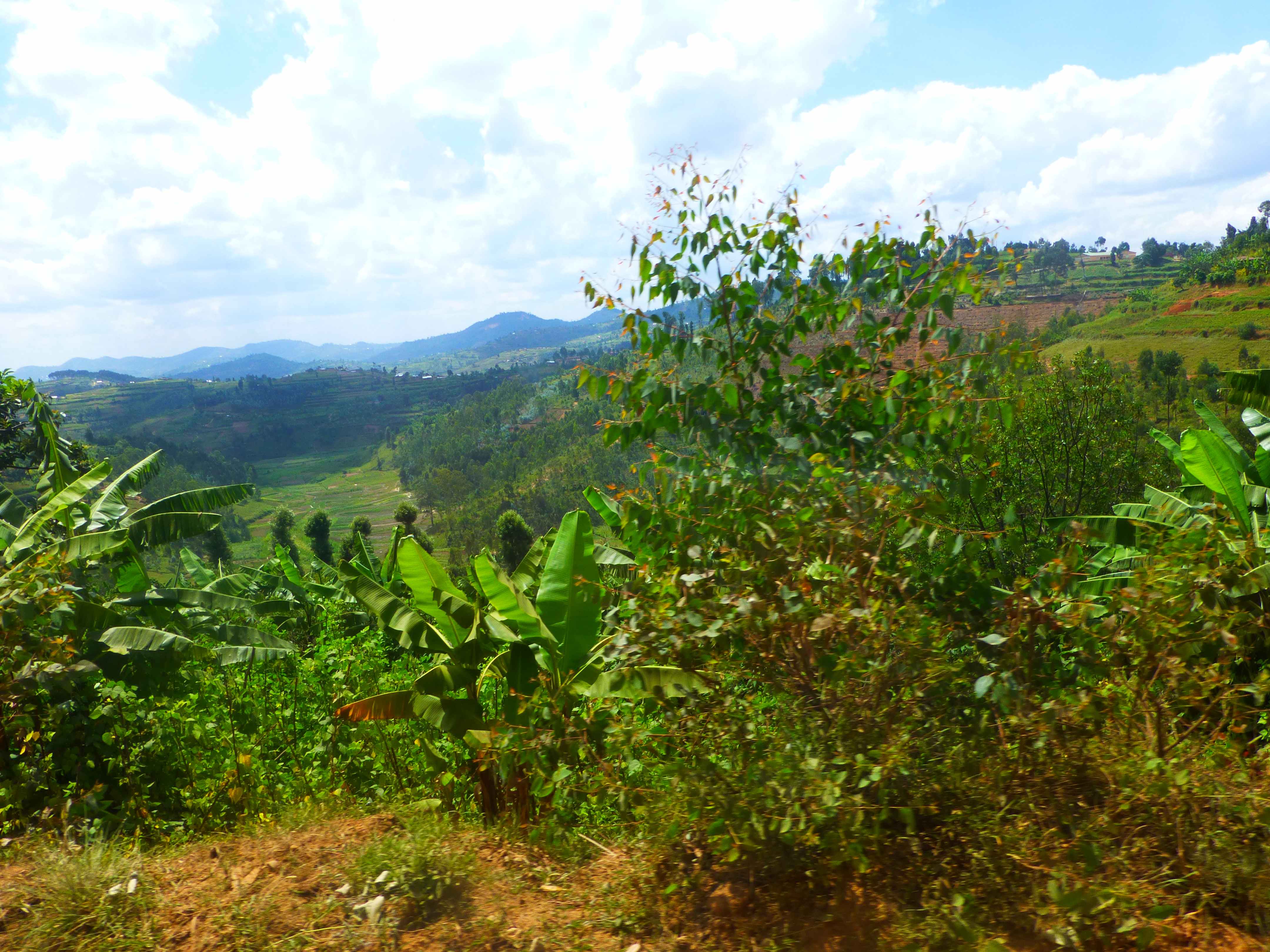 Green hills and valleys of the road to Butare