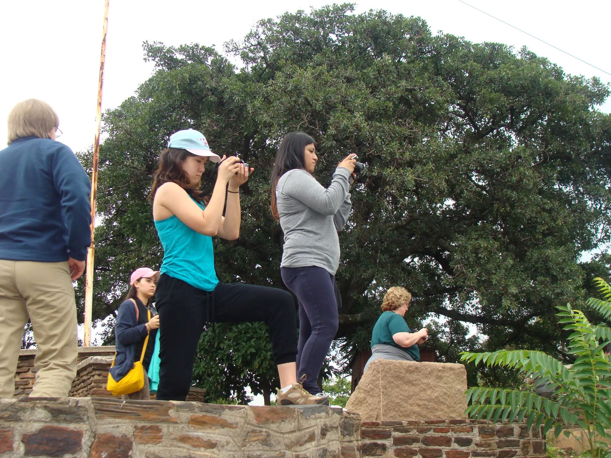Two Harper studetns taking pictures on a hill 