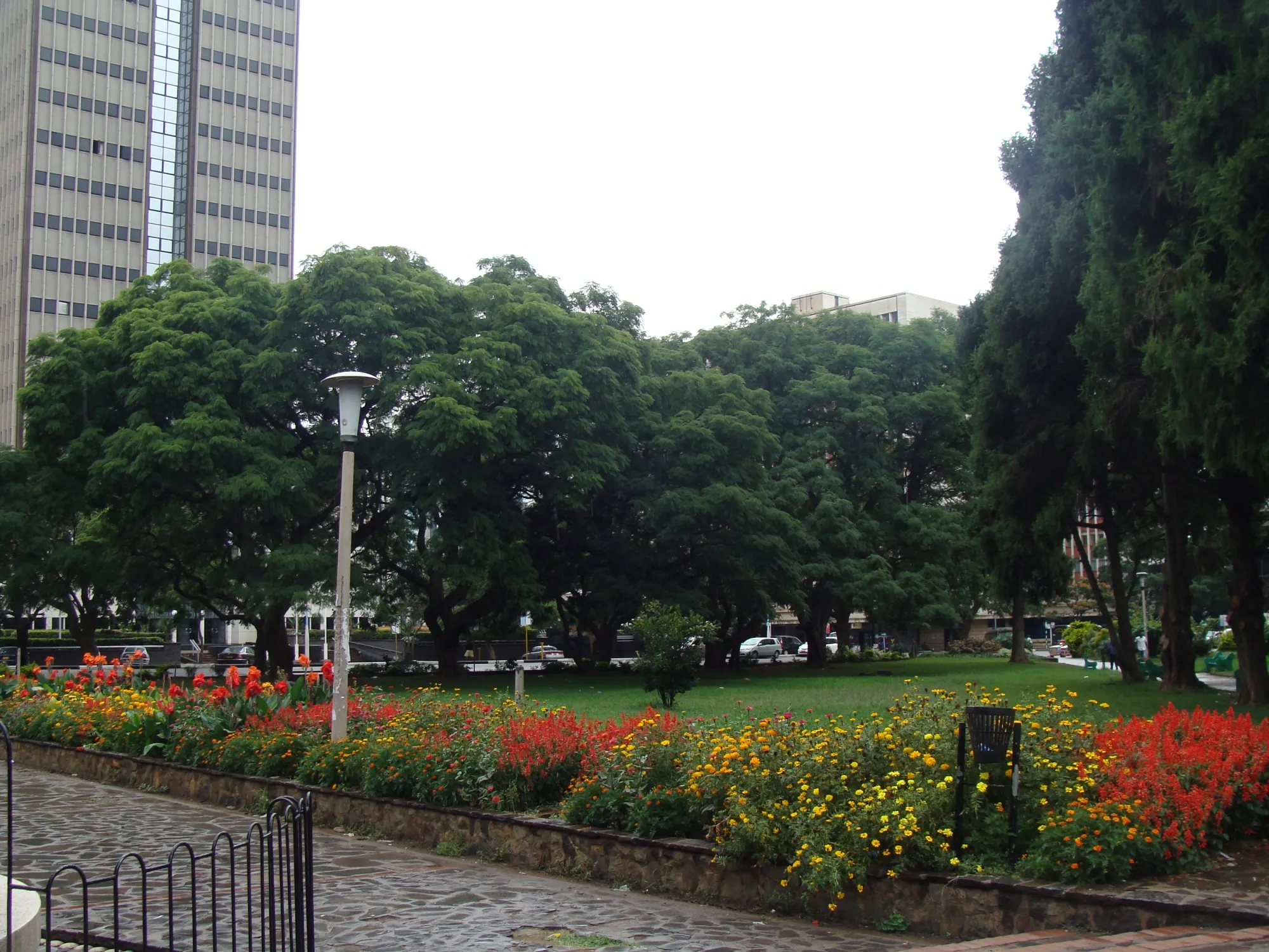 Lush green space and flowers in the middle of a city