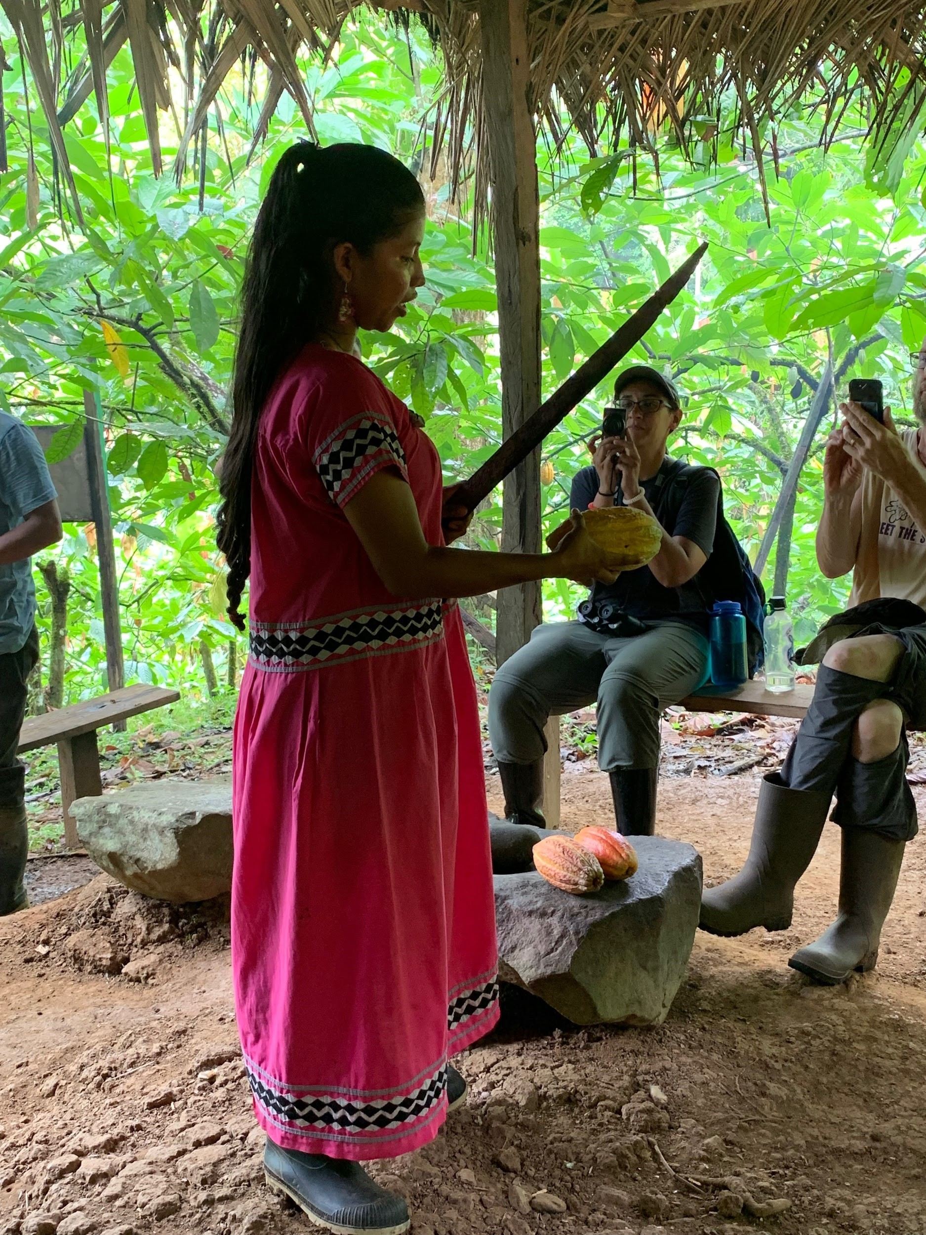 A guide with a large machete shows a cacao fuit to an audience