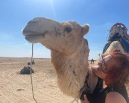 Amir, the smiling camel, in the Saharan Desert