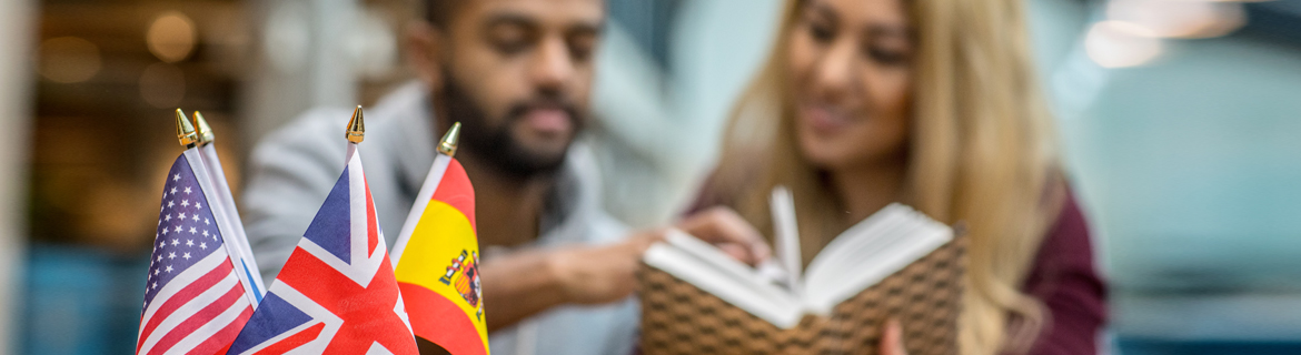 Image of various flags with two people reading a book in background