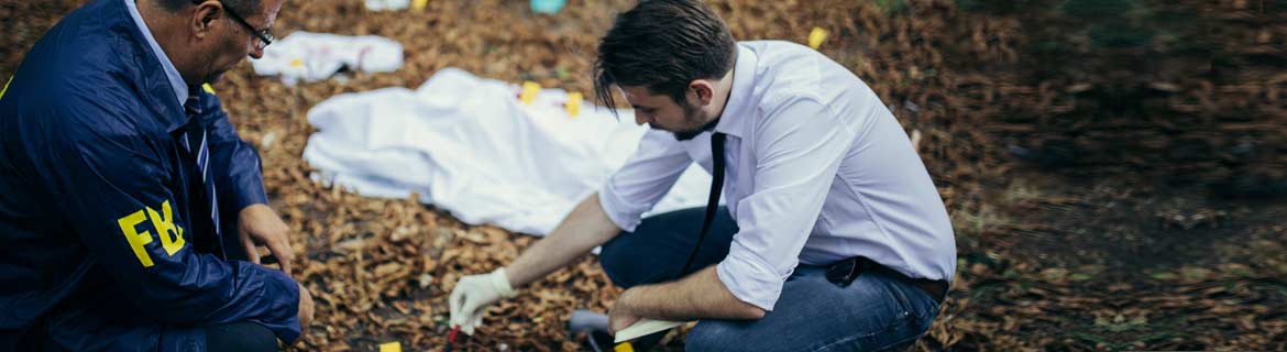 Forensic investigation at a crime scene in a wooded area