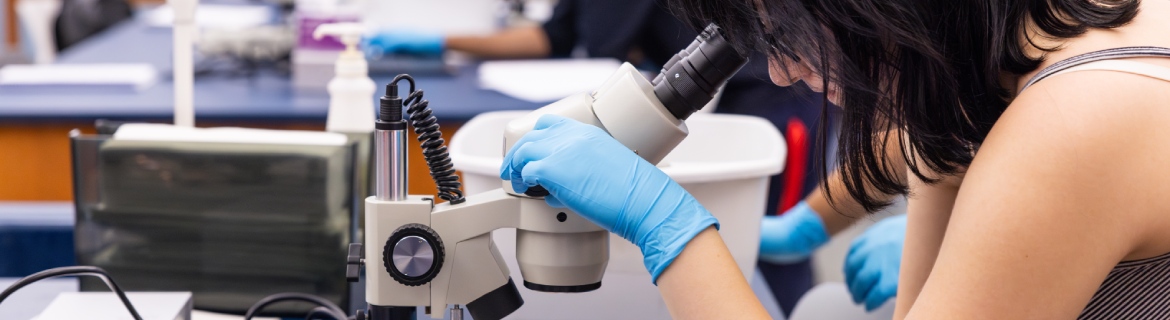 Student in Harper College's Biological Science associate degree program using a microscope in a science lab class located on Harper's campus in the Chicago suburbs.