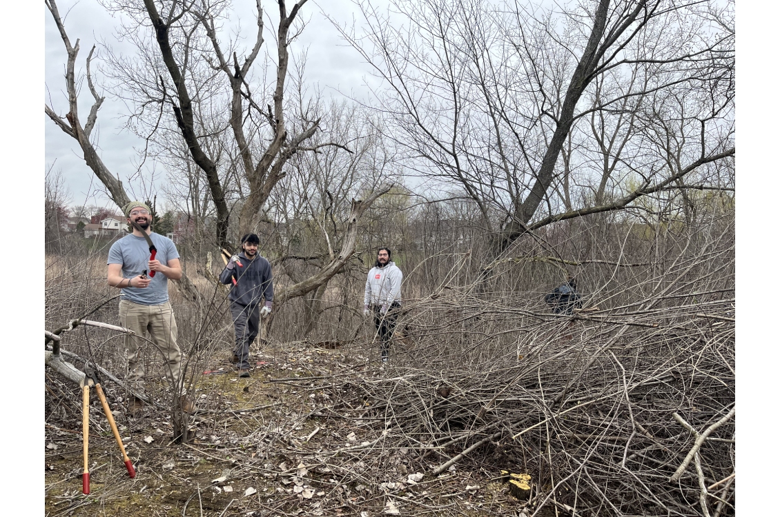 Harper students stand among trees at the prairie, holding cutting tools to remove invasive plant species