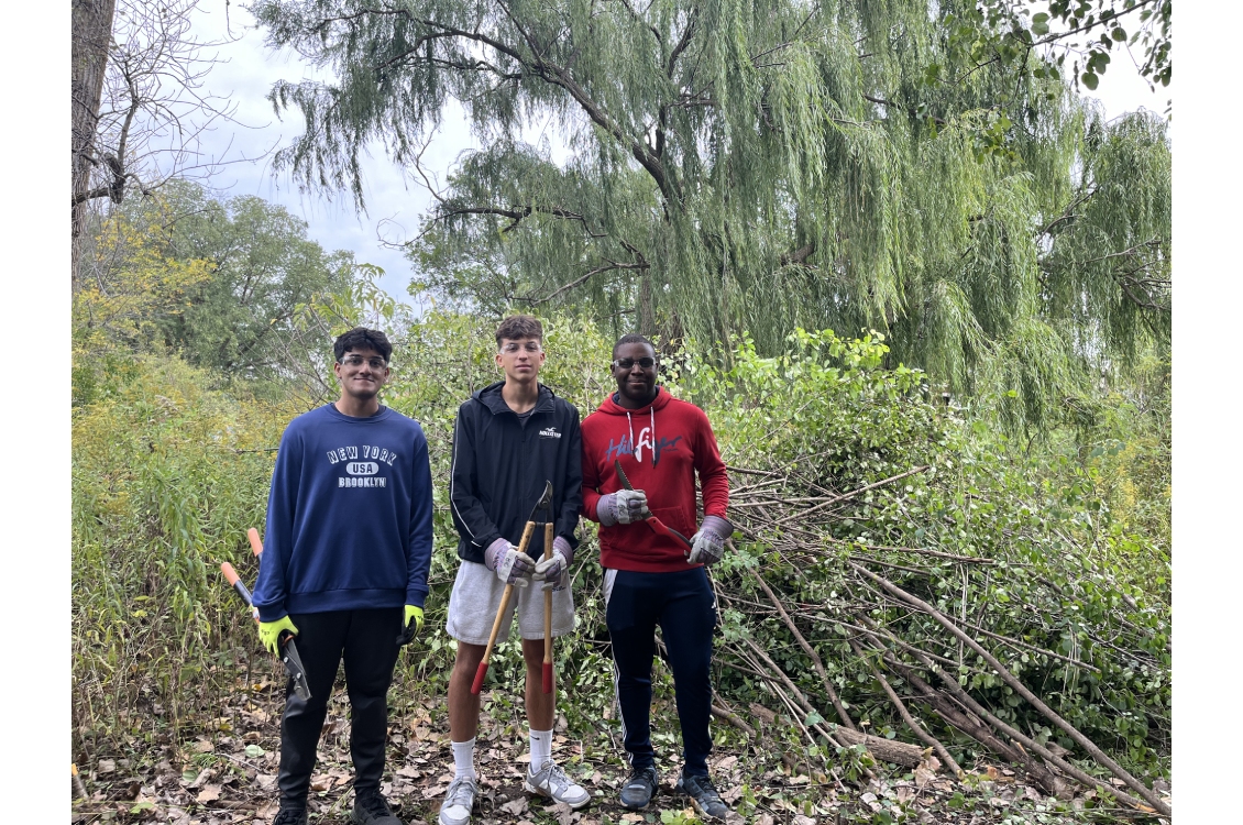 Harper students stand among trees at the prairie, holding cutting tools to remove invasive plant species