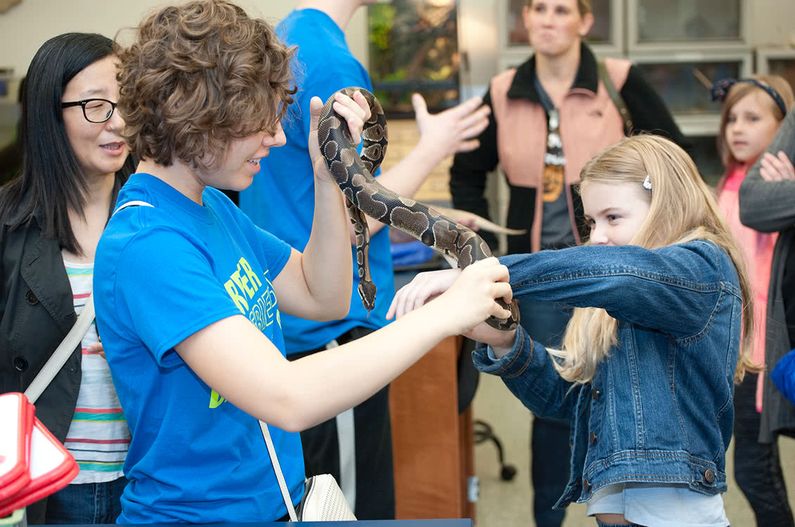 An experience day volunteer showing a child a snake