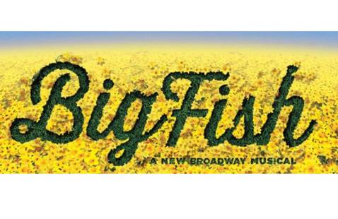 Big fish logo