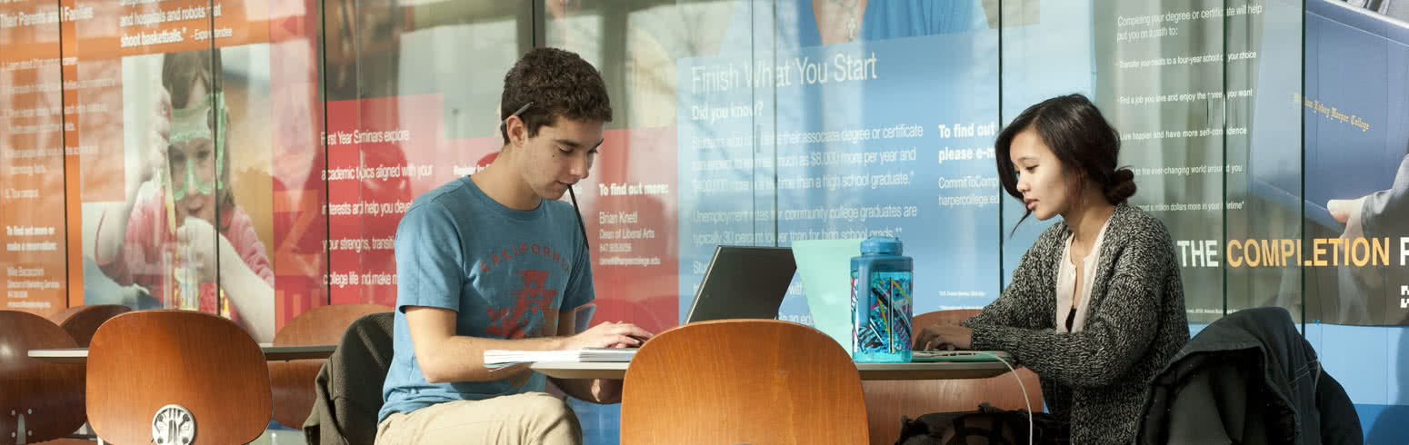 Students Studying