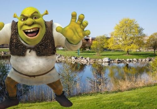 Summer Movie: Shrek Graphic Summer Movie: Shrek