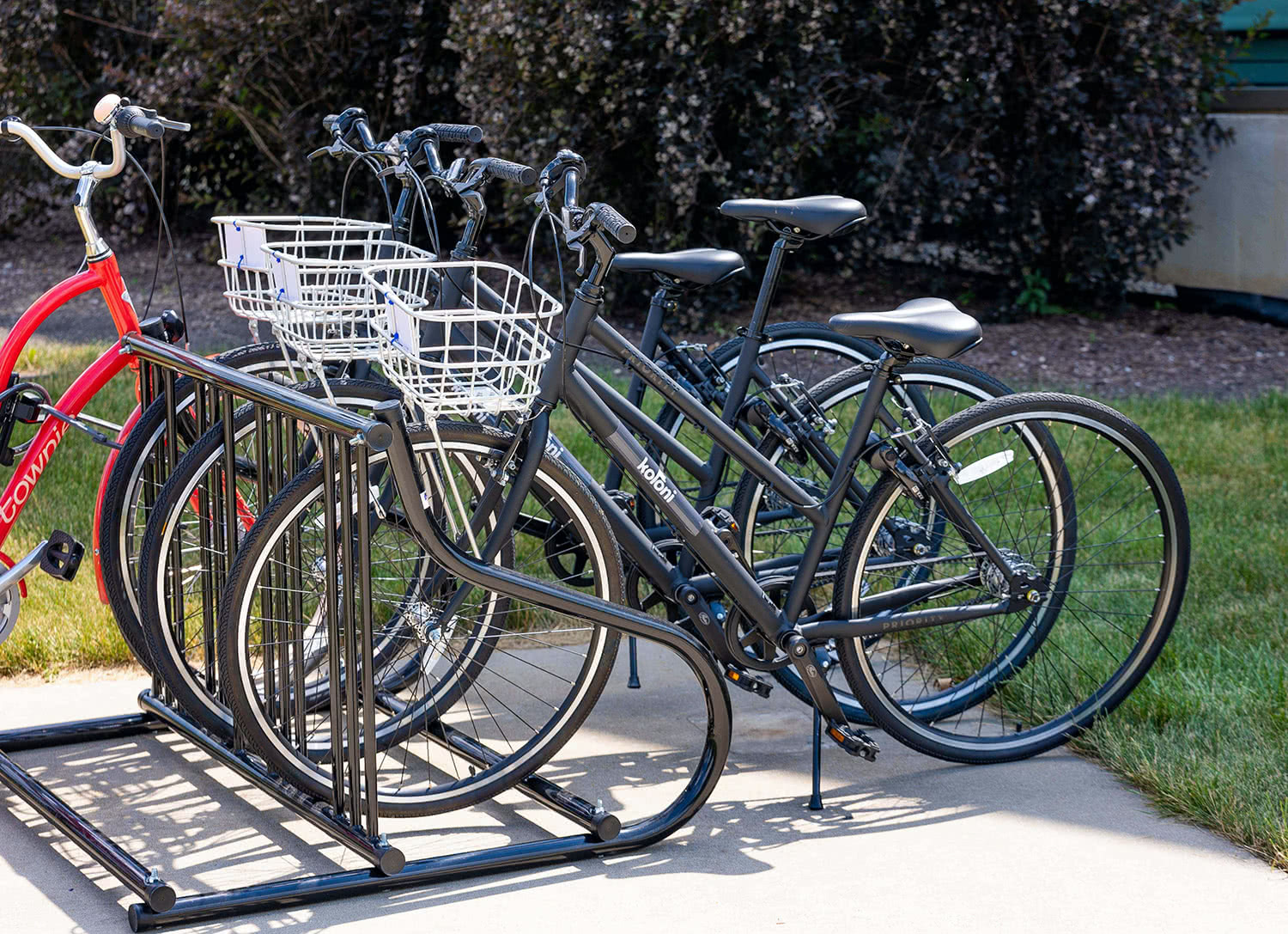 Bikes on a bike rack