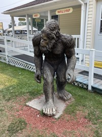 A picture of the Sasquatch statue outside the Muldoons Pasties shop in Munising, Michigan.