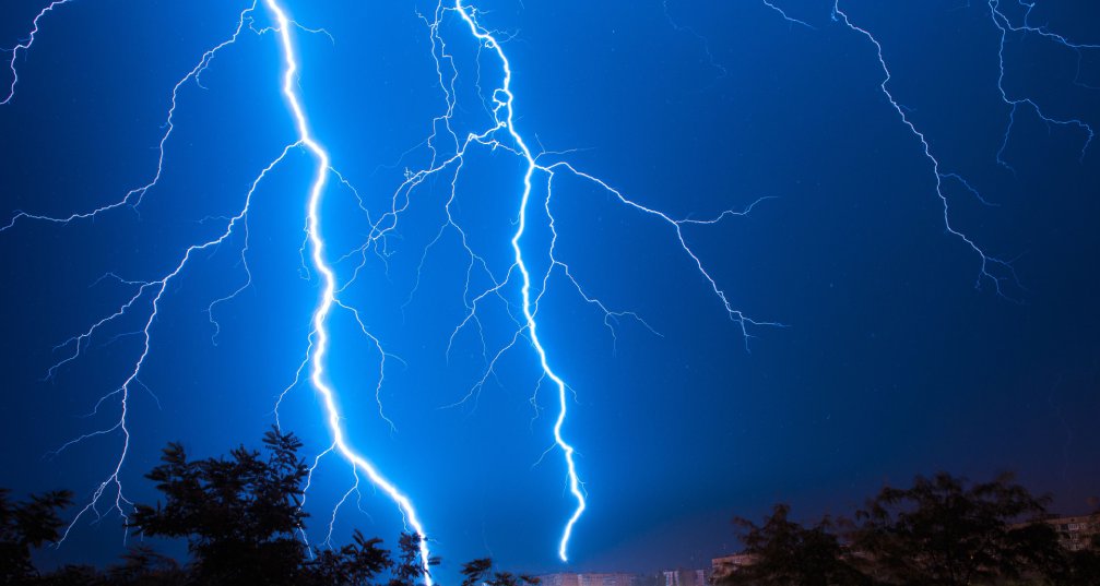 lightning striking above a treeline in a dark sky