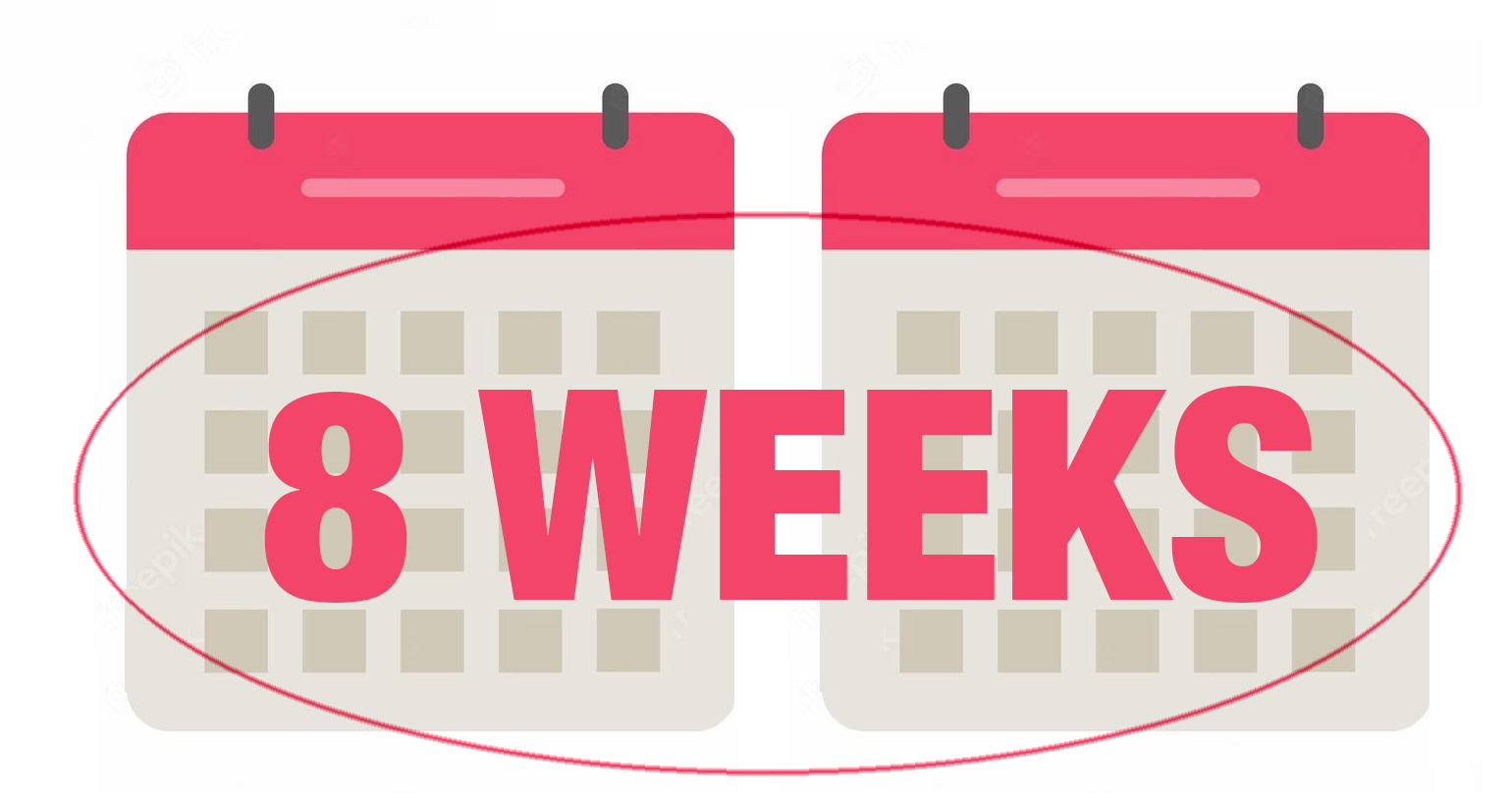 8 week calender