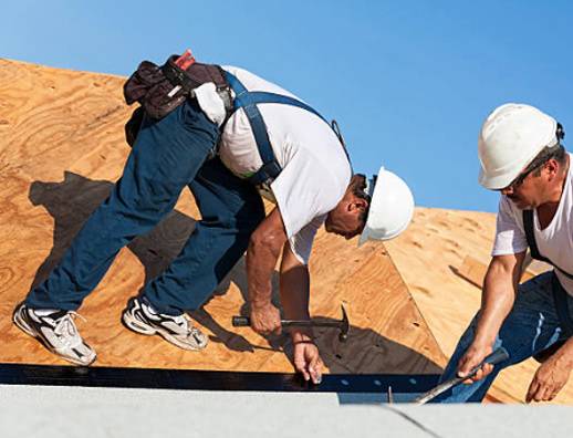 Roofers wearing safety harness