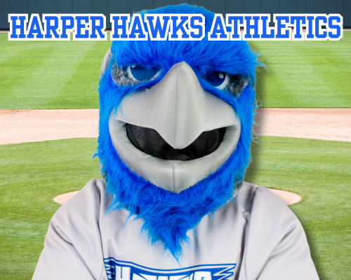 Photo of Harper Hawk mascot in foreground with baseball diamond in background