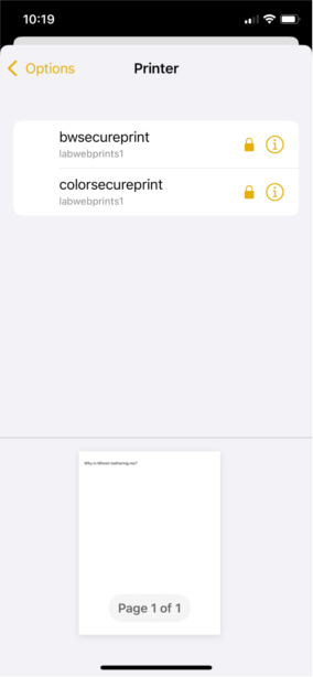 black & white and color print option buttons