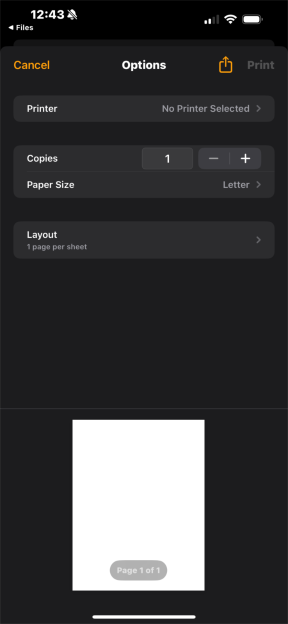 iOS print menu and settings